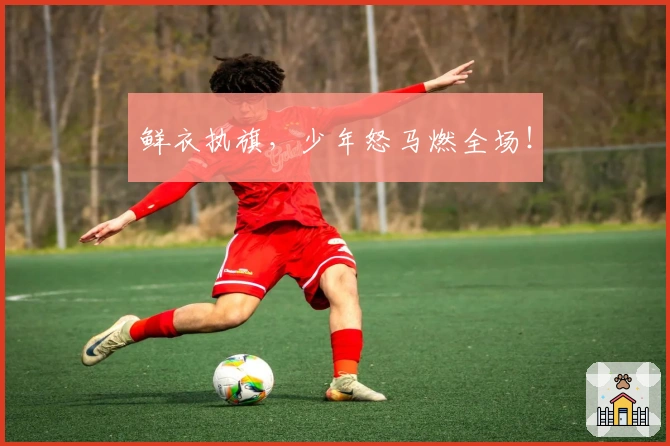 鲜衣执旗，少年怒马燃全场！